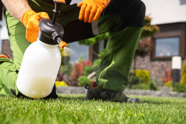 Best Rodent Control Near Me  in Farmers Branch, TX