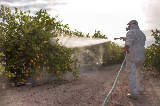 Best Commercial Pest Control Services  in Farmers Branch, TX