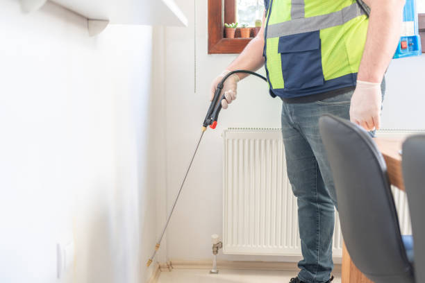 Best Flea Control Services  in Farmers Branch, TX