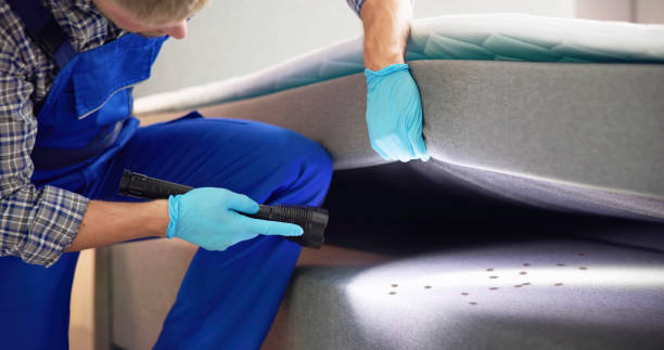 Best Best Pest Control Companies  in Farmers Branch, TX