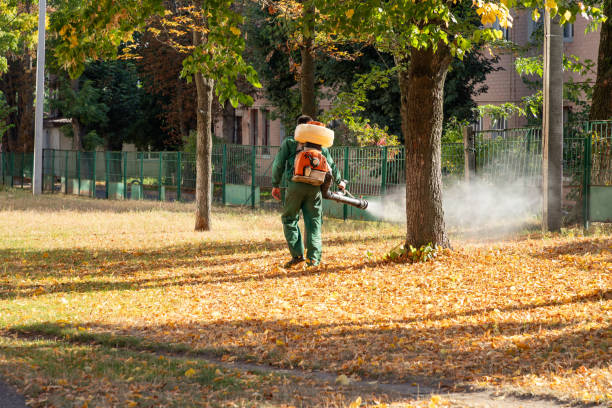 Best Spider Control Near Me  in Farmers Branch, TX