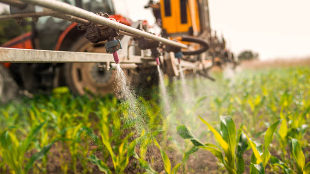 Best Mosquito Control Services  in Farmers Branch, TX