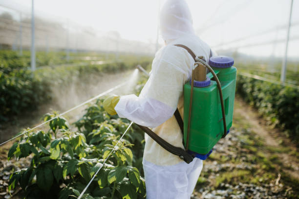 Best Local Pest Control Services  in Farmers Branch, TX